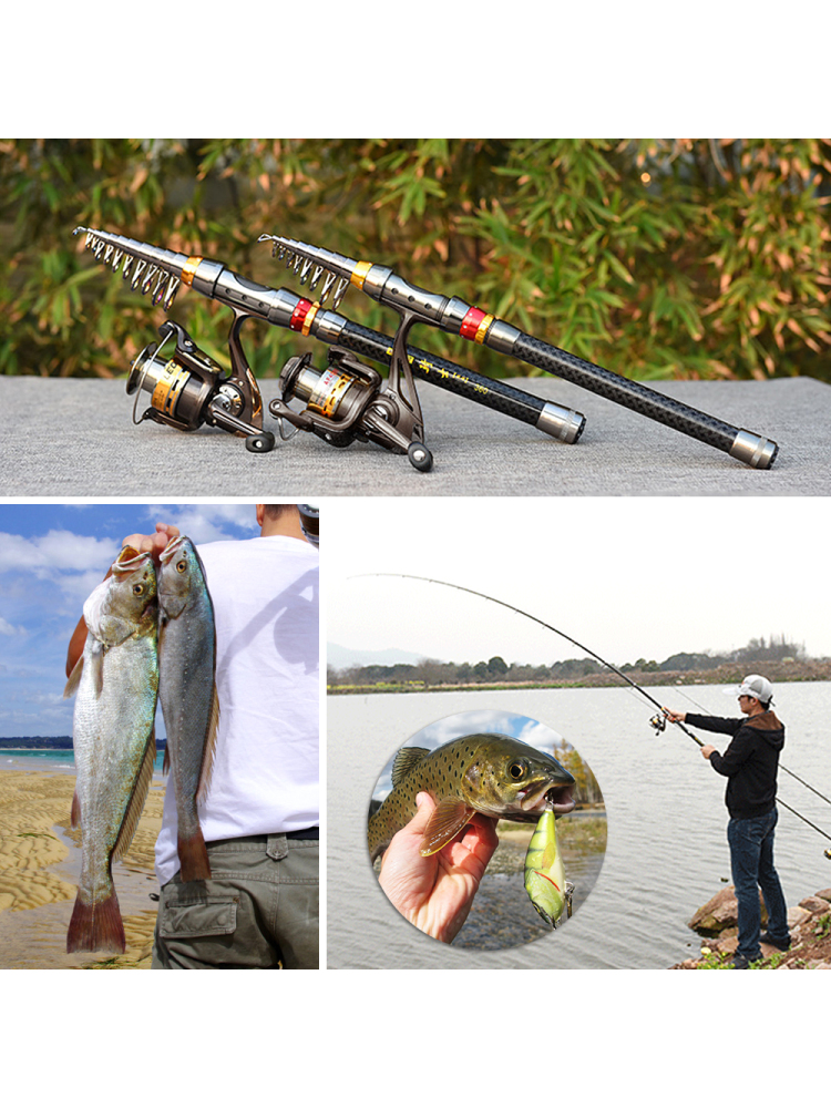 Fishing Rod Spinning Reel Comb - огляд і ціна Freshwater Line